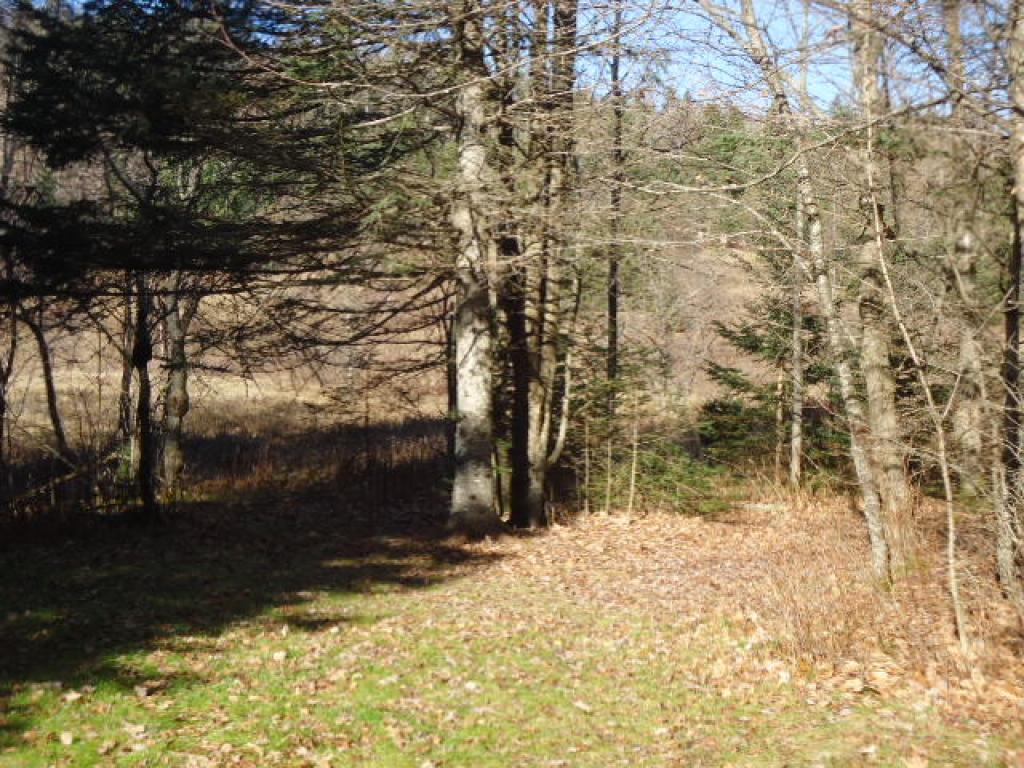 0 Reed Road Colebrook, NH 03576 - Photo 5 of 12
