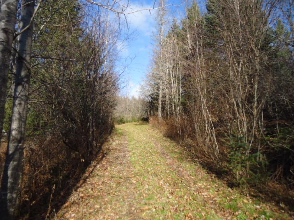 0 Reed Road Colebrook, NH 03576 - Photo 6 of 12