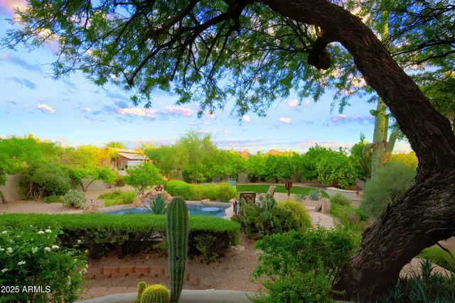 a view of a garden with a tree