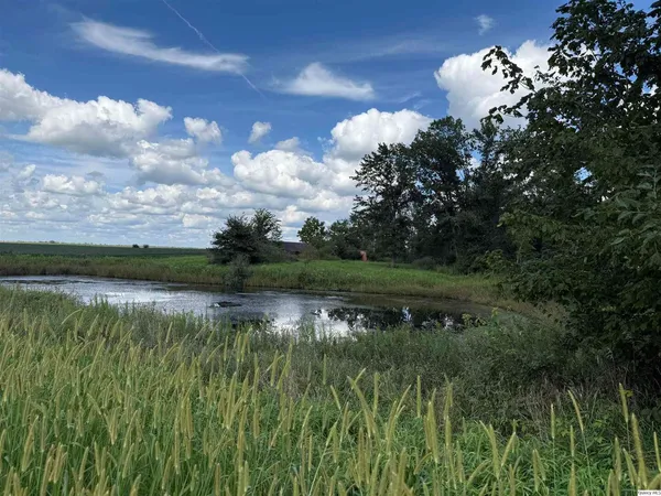 a view of a lake in between the bunch of trees