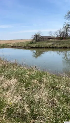 a view of a yard with large trees
