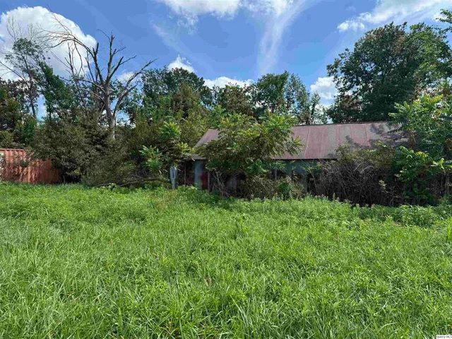 a view of a pathway with a bench in backyard