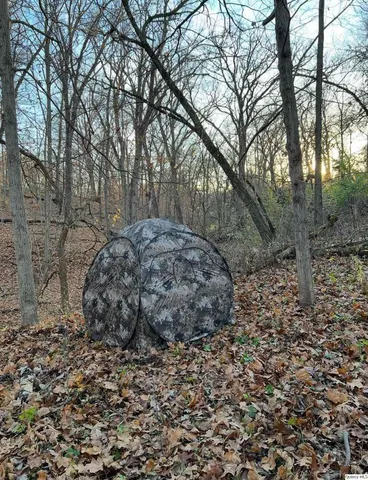 a picture of a book and a bed