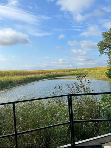 a view of a yard with a large tree