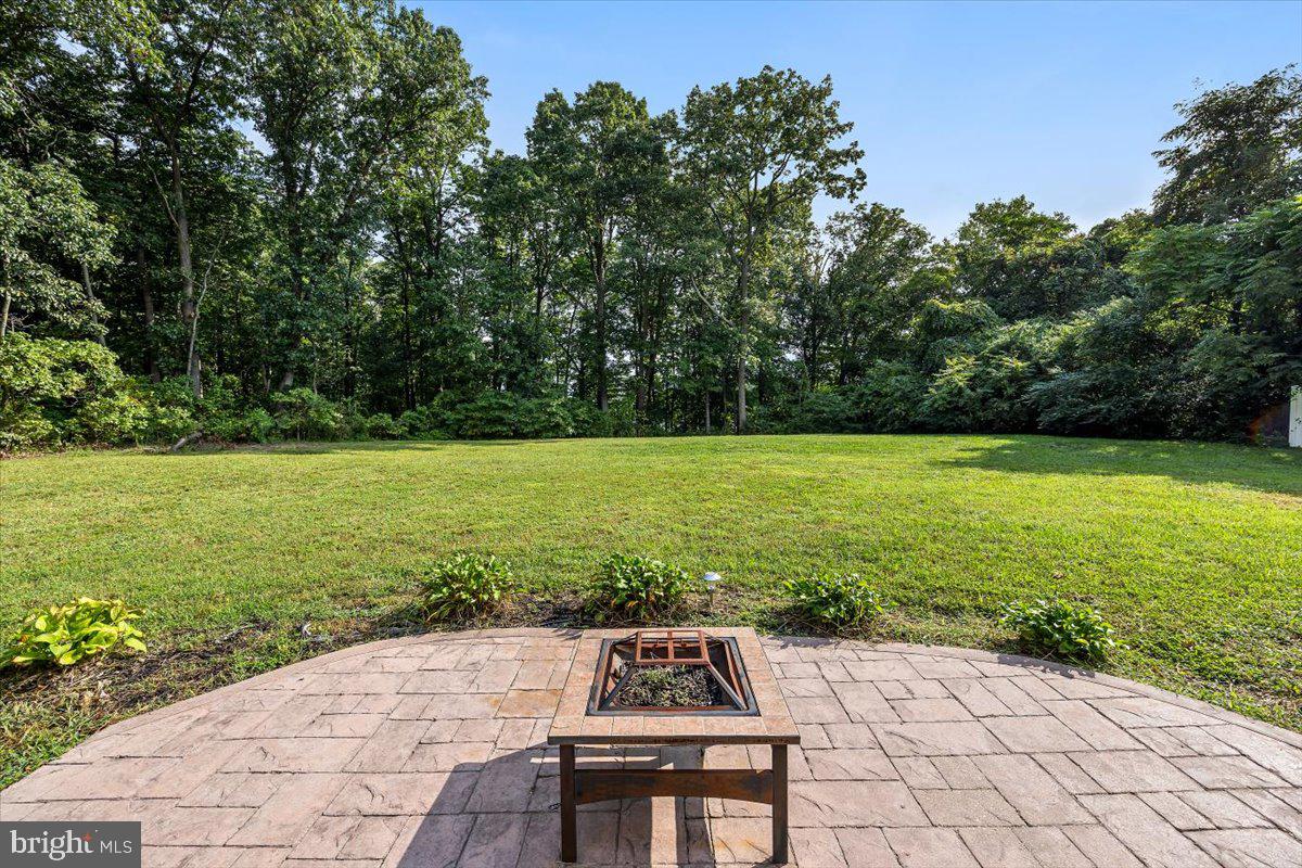 7983 Long Hill Road Pasadena, MD 21122 - Photo 31 of 34 BackYard 1