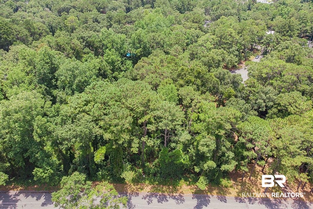 181 Lakeview Loop Daphne, AL 36526 - Photo 4 of 8