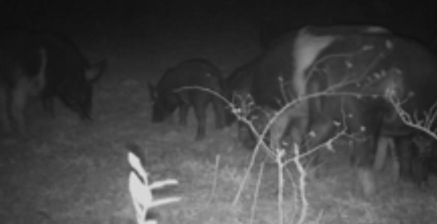 345 County Road 3346 Hubbard, TX 76648 - Photo 15 of 16 a view of entryway