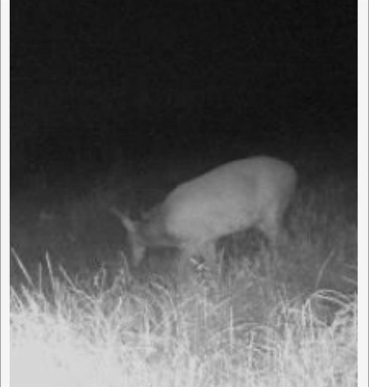 345 County Road 3346 Hubbard, TX 76648 - Photo 16 of 16 a view of a small space
