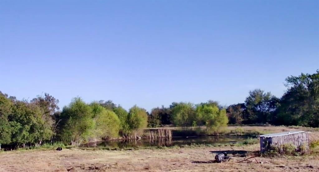 345 County Road 3346 Hubbard, TX 76648 - Photo 4 of 16 a view of a backyard with plants and trees