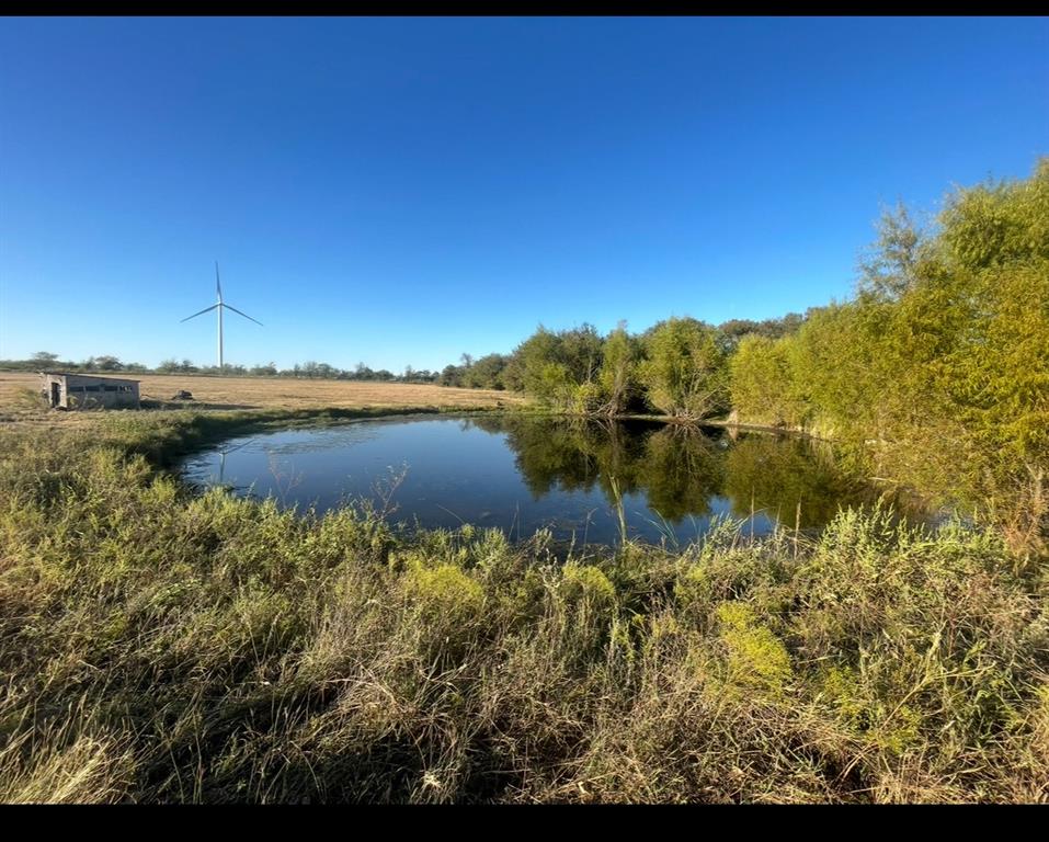 345 County Road 3346 Hubbard, TX 76648 - Photo 6 of 16