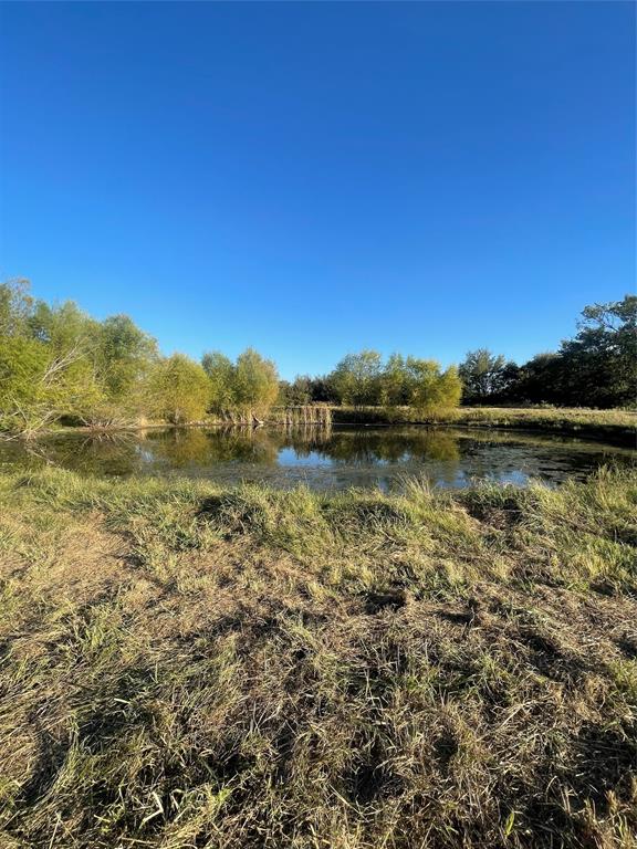 345 County Road 3346 Hubbard, TX 76648 - Photo 8 of 16 a view of a large body of water with lots of bushes