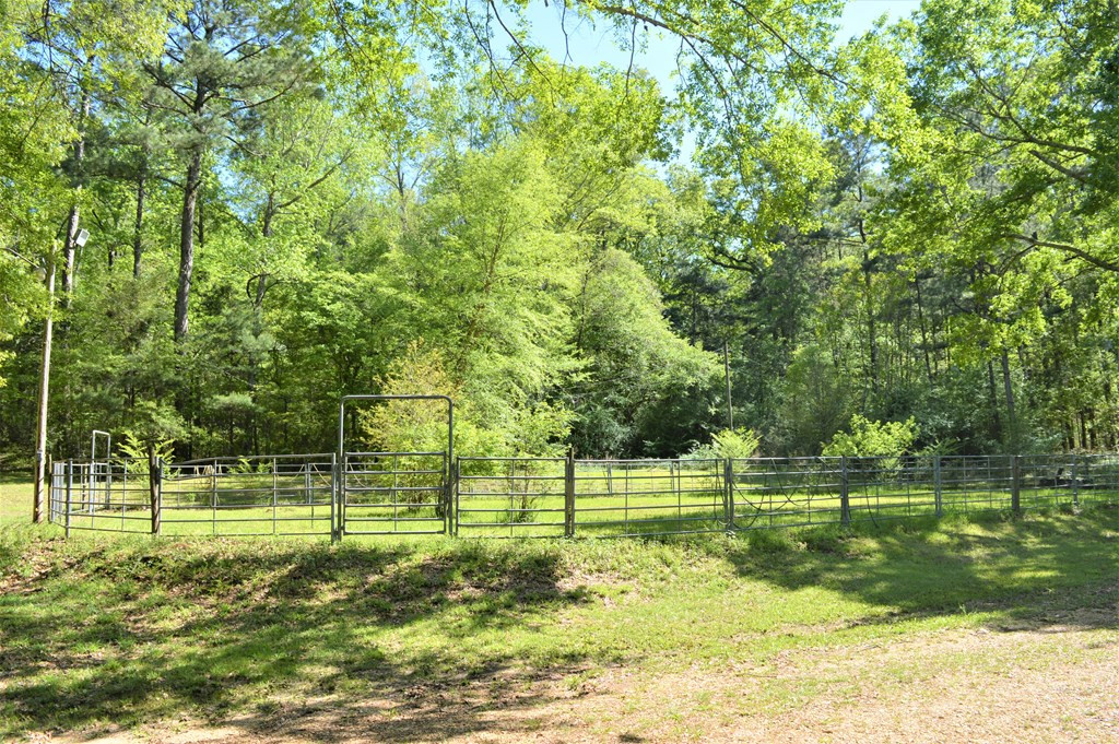 2142 Muddy Springs Road Magnolia, MS 39652 - Photo 14 of 41 Photo 14