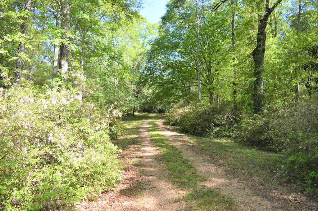 2142 Muddy Springs Road Magnolia, MS 39652 - Photo 16 of 41 Photo 16