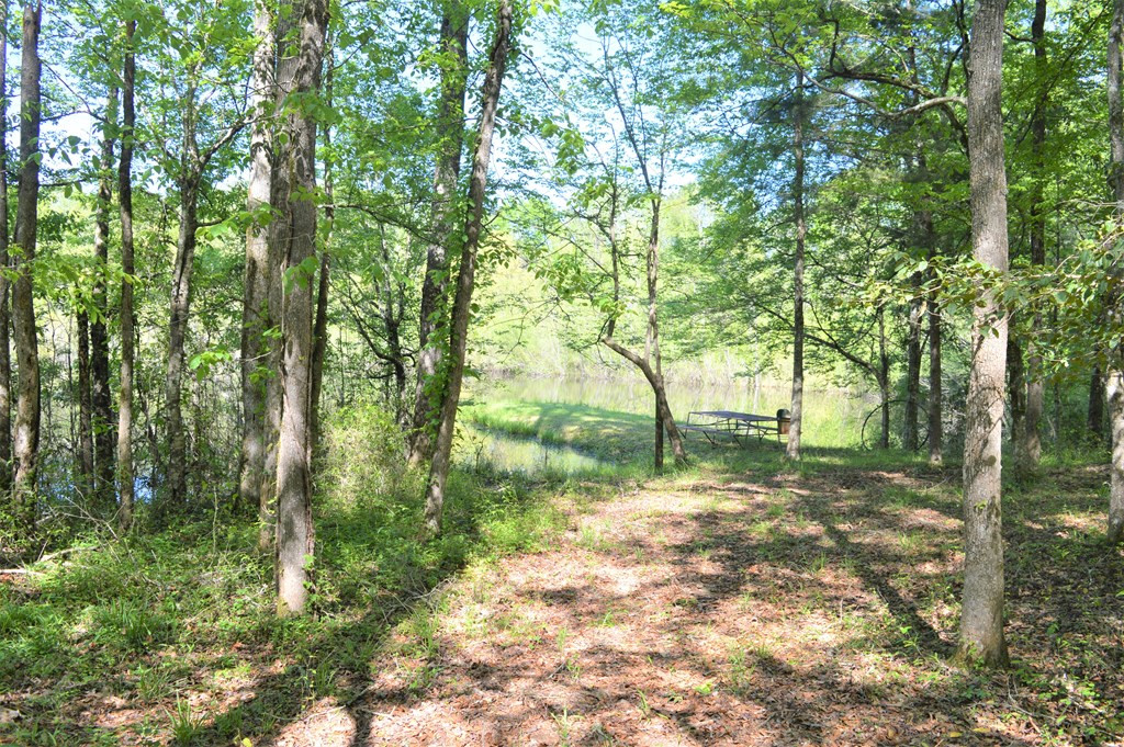 2142 Muddy Springs Road Magnolia, MS 39652 - Photo 17 of 41 Photo 17
