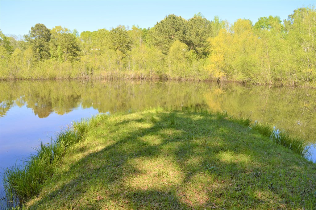 2142 Muddy Springs Road Magnolia, MS 39652 - Photo 18 of 41 Photo 18