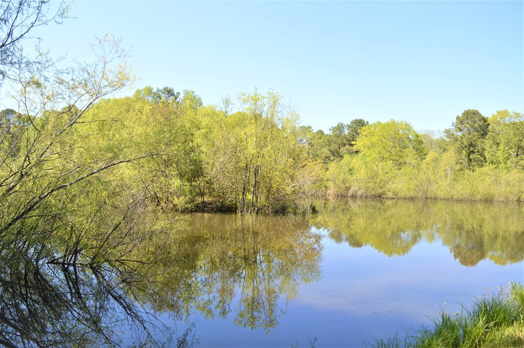 2142 Muddy Springs Road Magnolia, MS 39652 - Photo 19 of 41 Photo 19