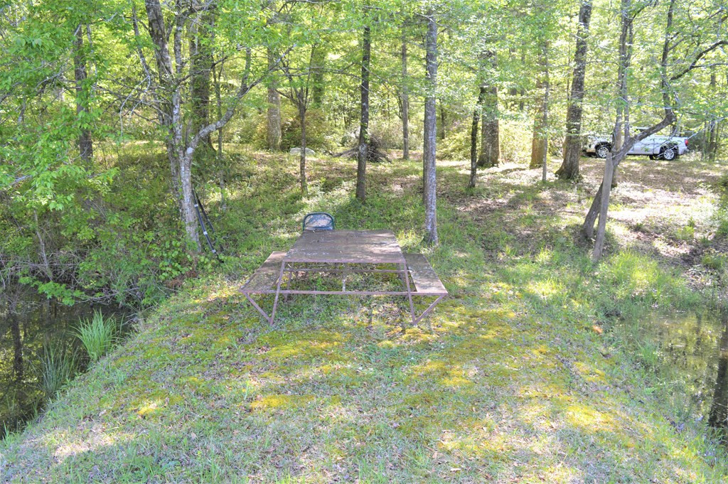 2142 Muddy Springs Road Magnolia, MS 39652 - Photo 20 of 41 Photo 20