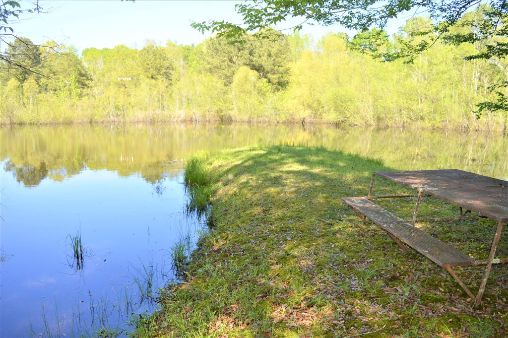 2142 Muddy Springs Road Magnolia, MS 39652 - Photo 21 of 41 Photo 21