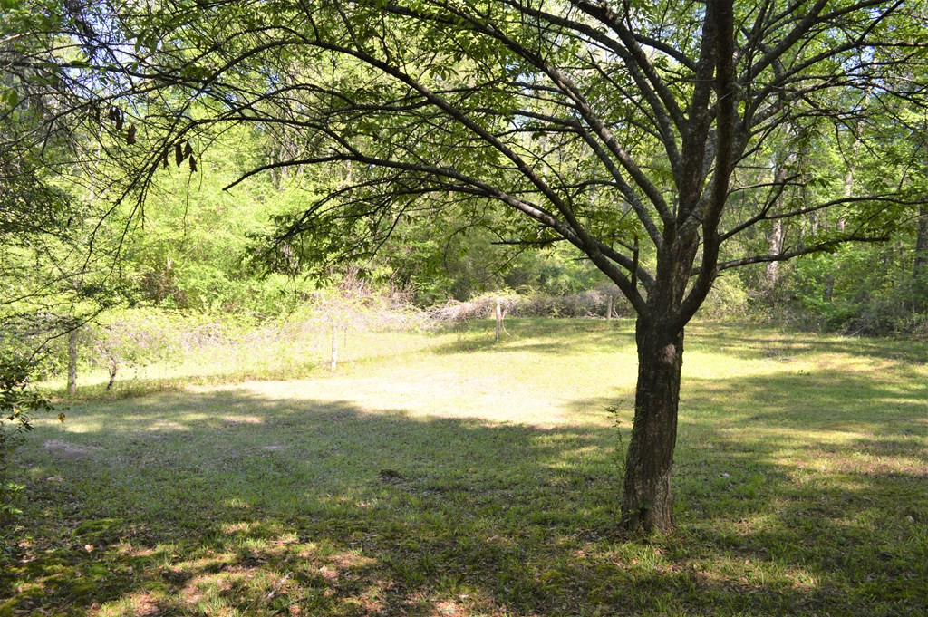 2142 Muddy Springs Road Magnolia, MS 39652 - Photo 22 of 41 Photo 22
