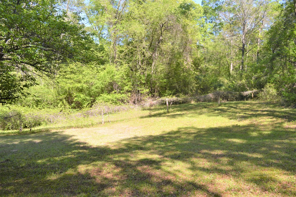 2142 Muddy Springs Road Magnolia, MS 39652 - Photo 23 of 41 Photo 23