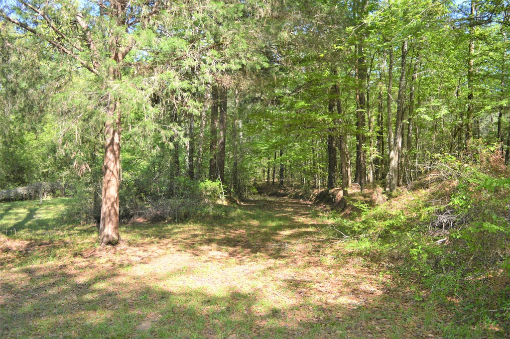 2142 Muddy Springs Road Magnolia, MS 39652 - Photo 24 of 41 Photo 24