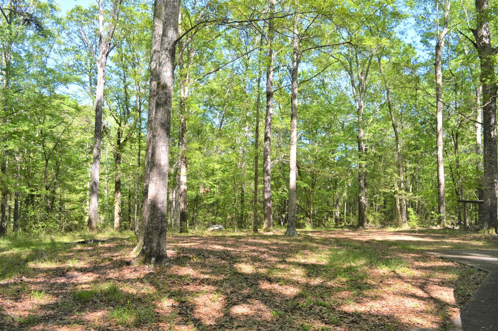 2142 Muddy Springs Road Magnolia, MS 39652 - Photo 25 of 41 Photo 25