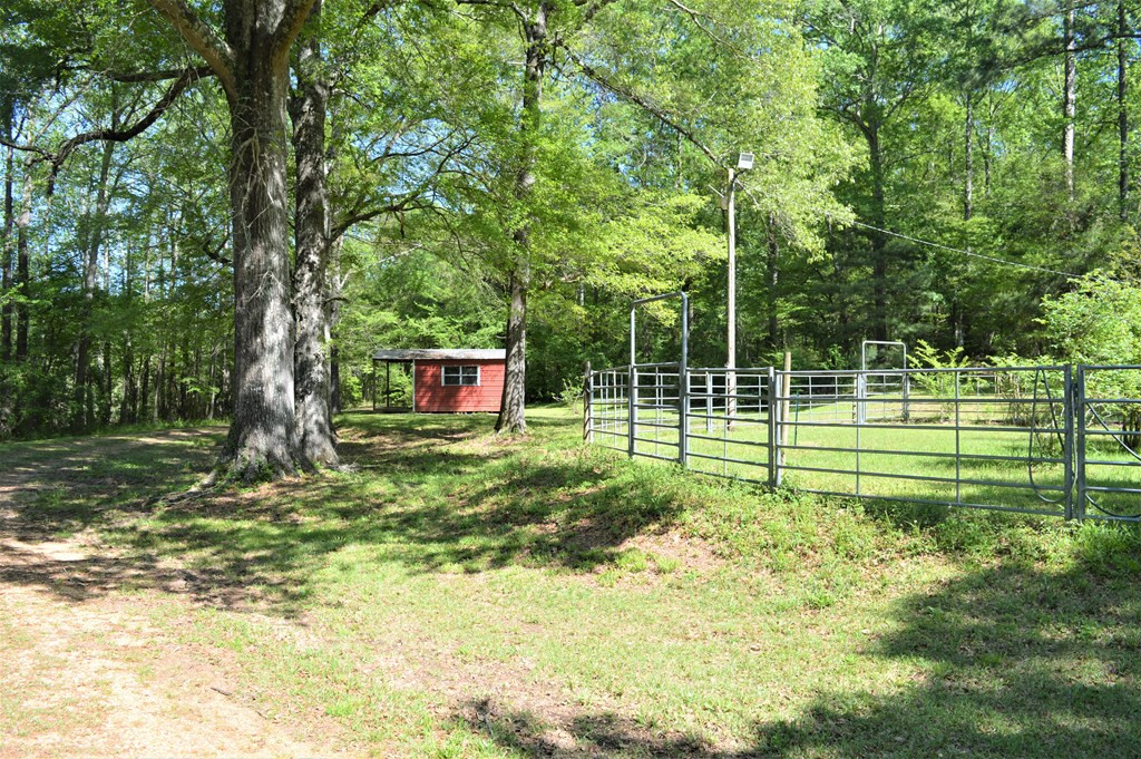 2142 Muddy Springs Road Magnolia, MS 39652 - Photo 9 of 41 Photo 9