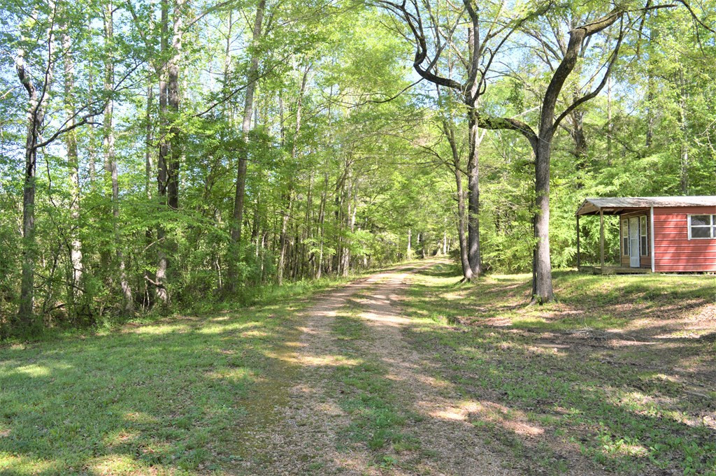 2142 Muddy Springs Road Magnolia, MS 39652 - Photo 10 of 41 Photo 10