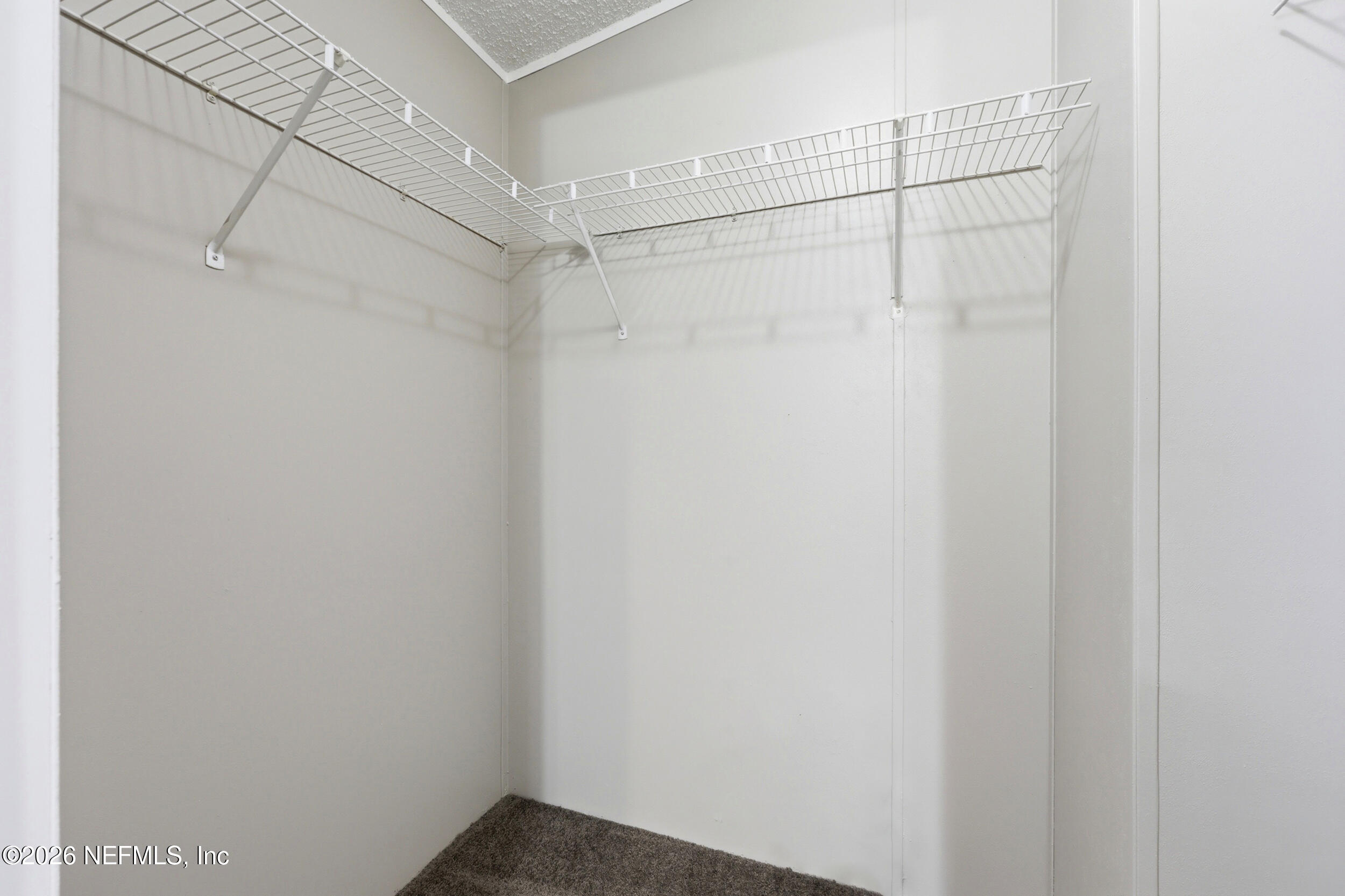 2081 Chaffee Road South, Unit 179 Jacksonville, FL 32221 - Photo 23 of 34 Primary Closet