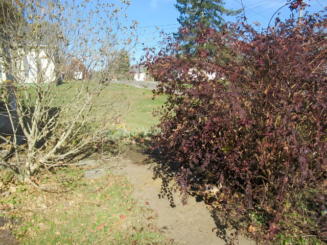 a view of a pathway with a building