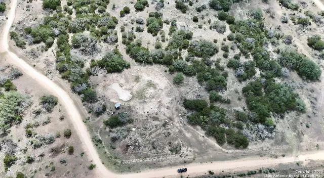 a view of a forest with a forest