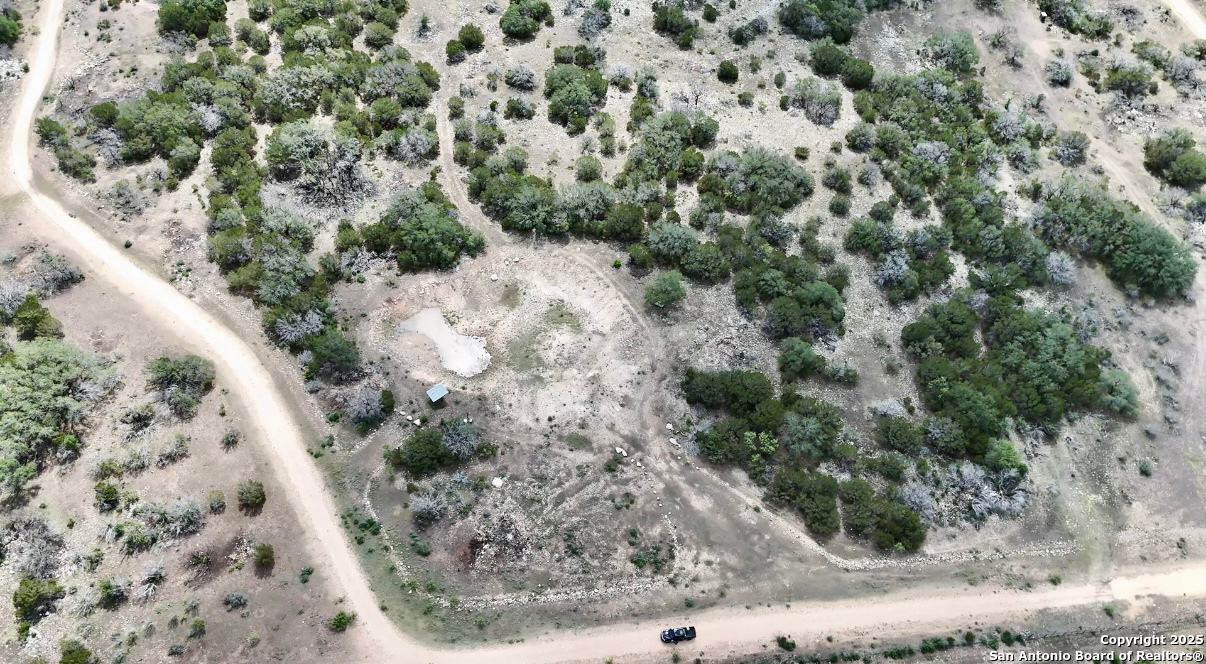 a view of a forest with a forest