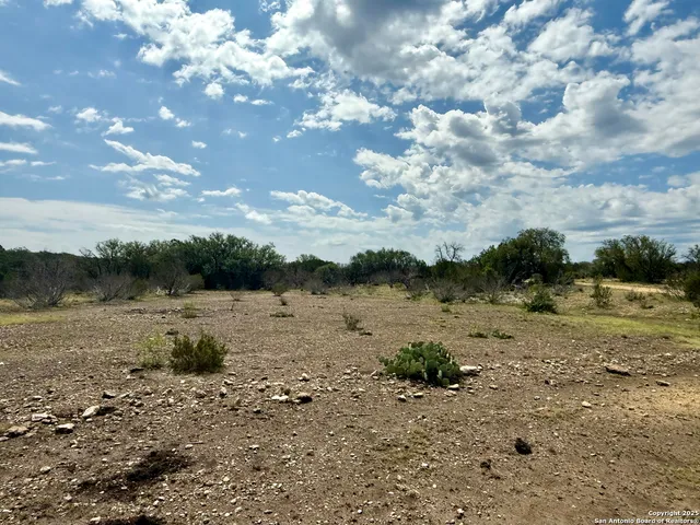a view of a lake from a yard