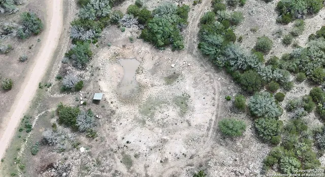 a view of a dry yard with trees and bushes