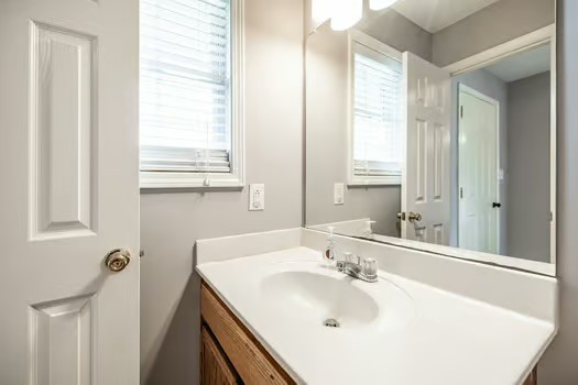 2029 Copper Kettle Circle Pleasant View, TN 37146 - Photo 17 of 58 a bathroom with a sink and a mirror