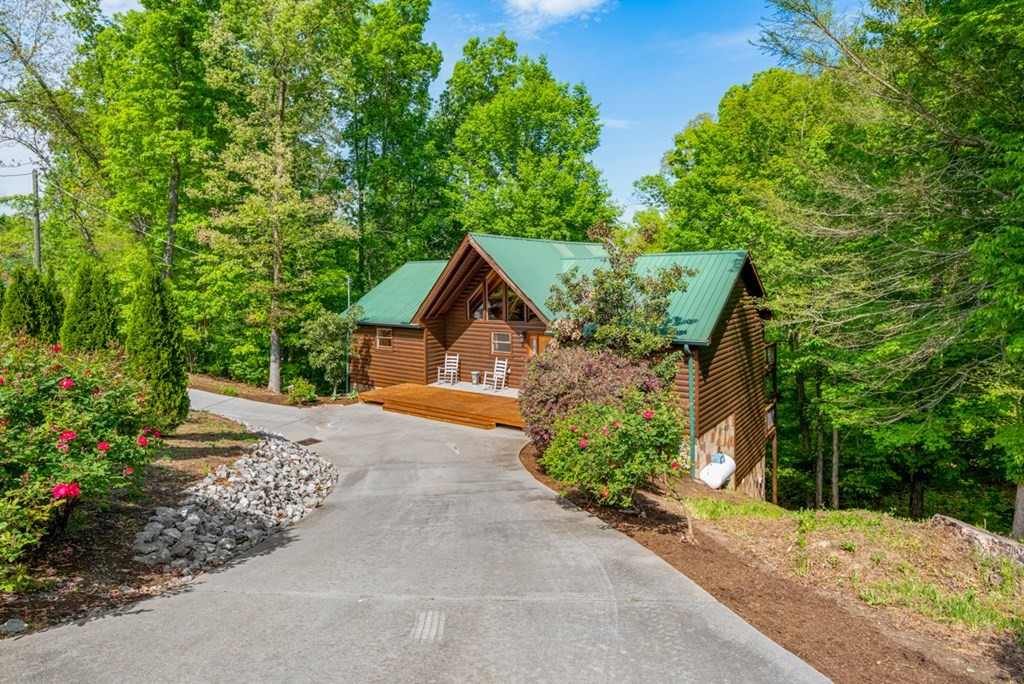 718 Pleasure Road Sevierville, TN 37876 - Photo 4 of 53 Gallery Image 4