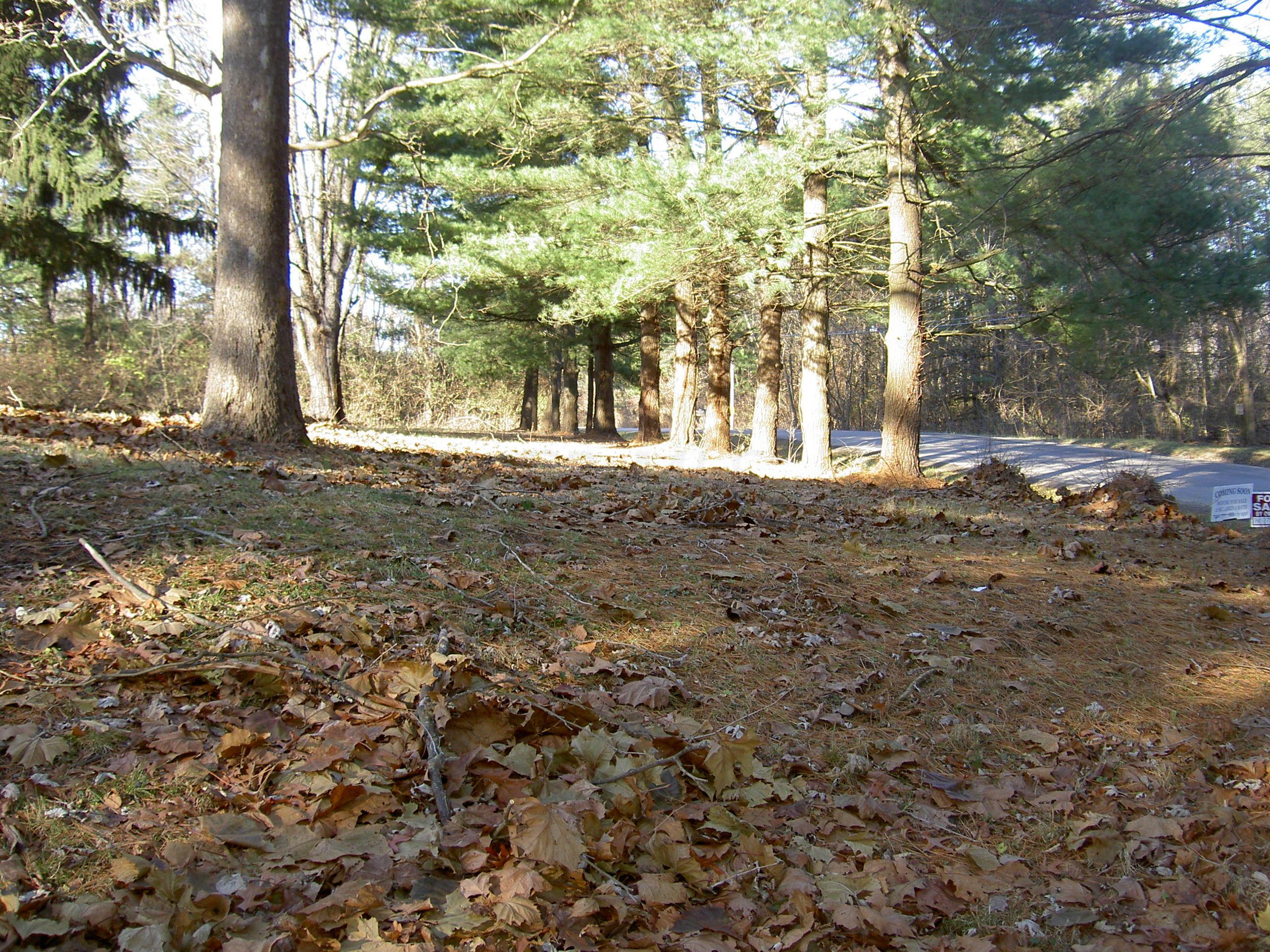 8235 Slough Road Northwest Carroll, OH 43112 - Photo 18 of 25