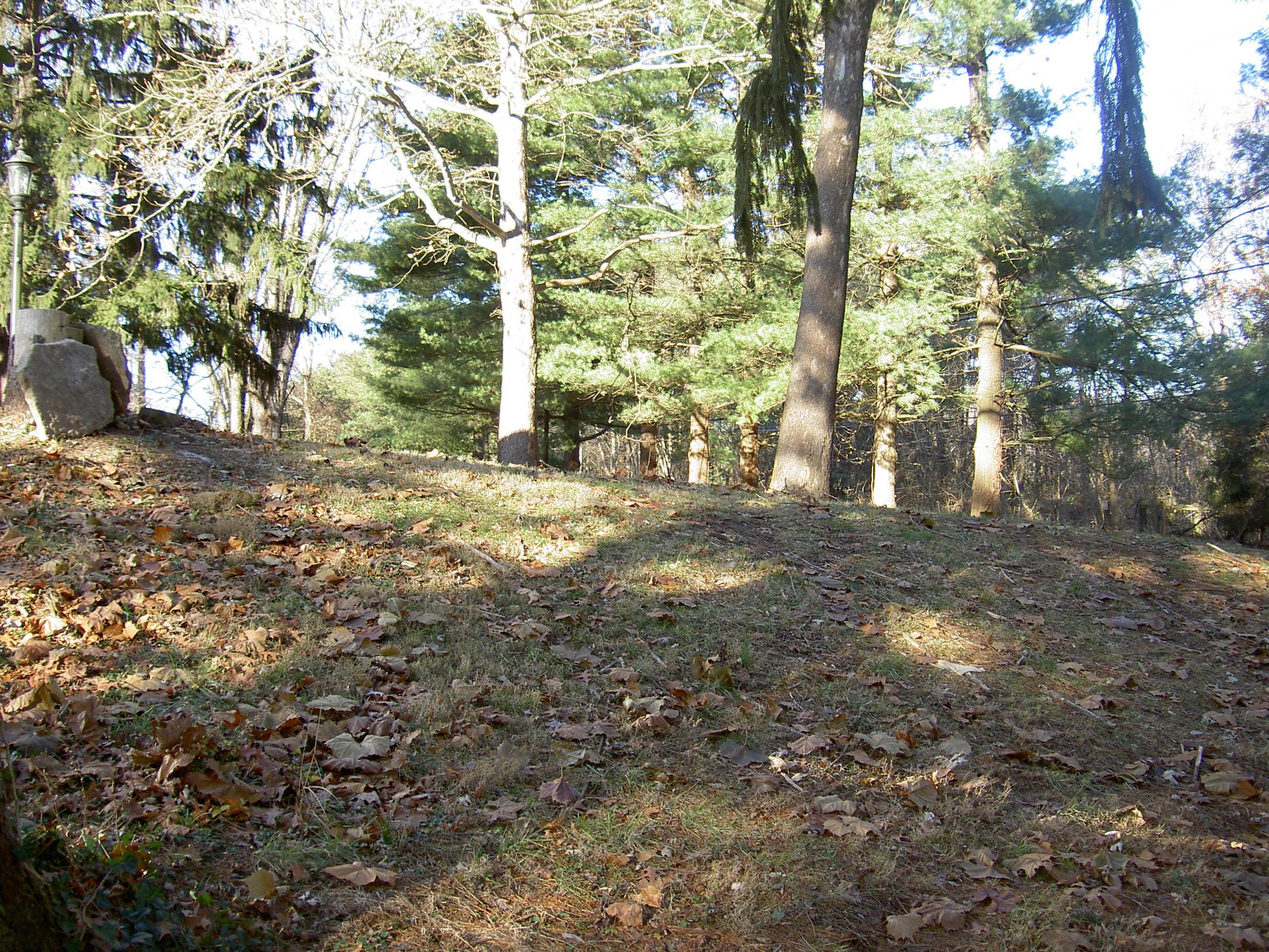8235 Slough Road Northwest Carroll, OH 43112 - Photo 19 of 25