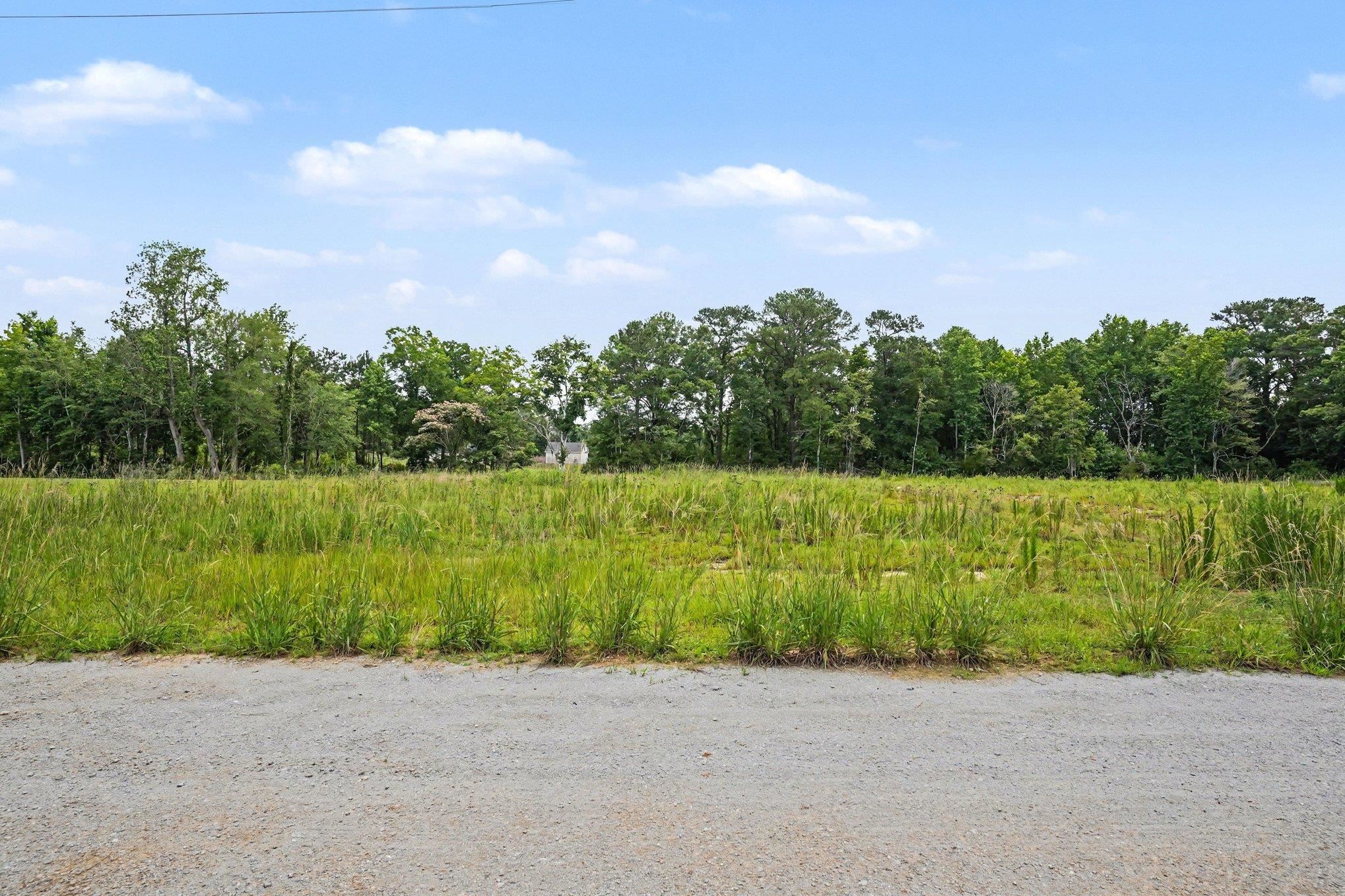 113 Rena Lane Conway, SC 29527 - Photo 2 of 21