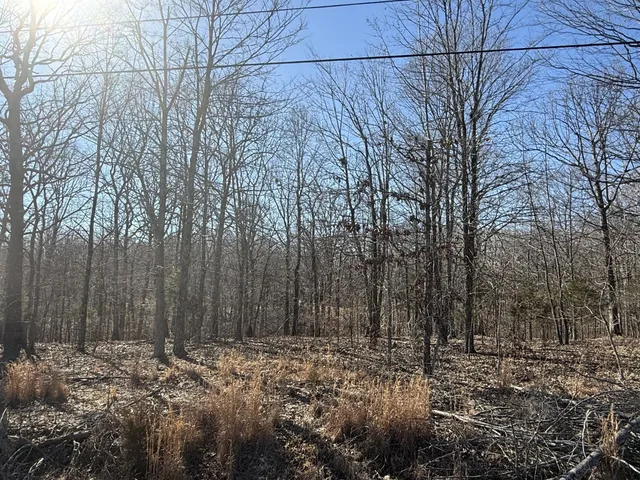 a view of a yard with trees in the background