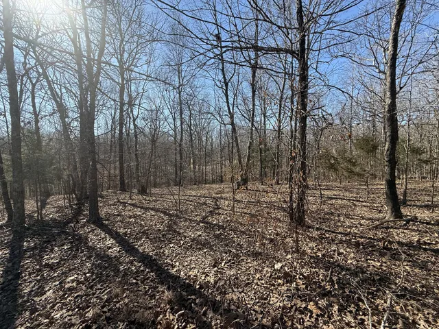 a view of a yard with trees