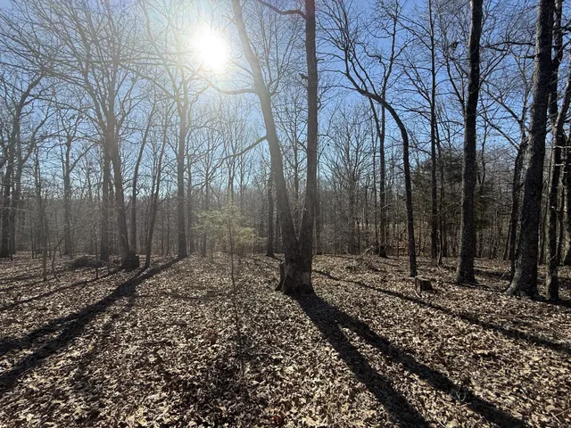 a view of a backyard of the house
