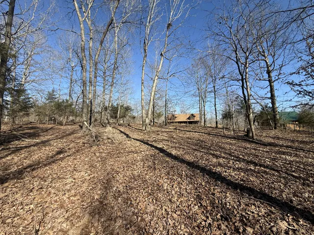 a view of a yard with trees