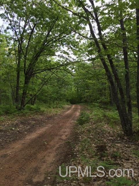 8508 Co Road, Unit PARCEL B Big Bay, MI 49808 - Photo 3 of 5