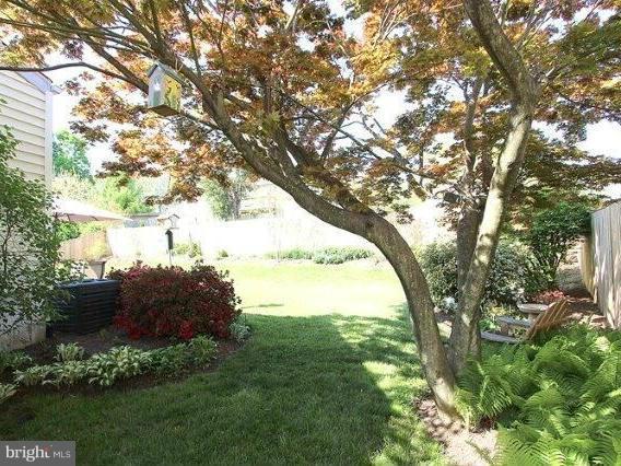 1718 Olney Road Falls Church, VA 22043 - Photo 8 of 27 Exterior (General)