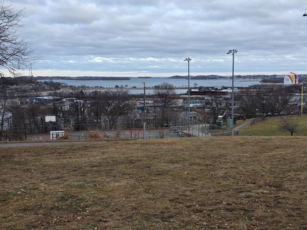29 Mt Ida Road Boston, MA 02122 - Photo 19 of 22 a view of a yard