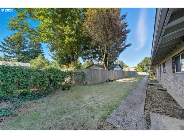 a view of a yard with plants and a trees