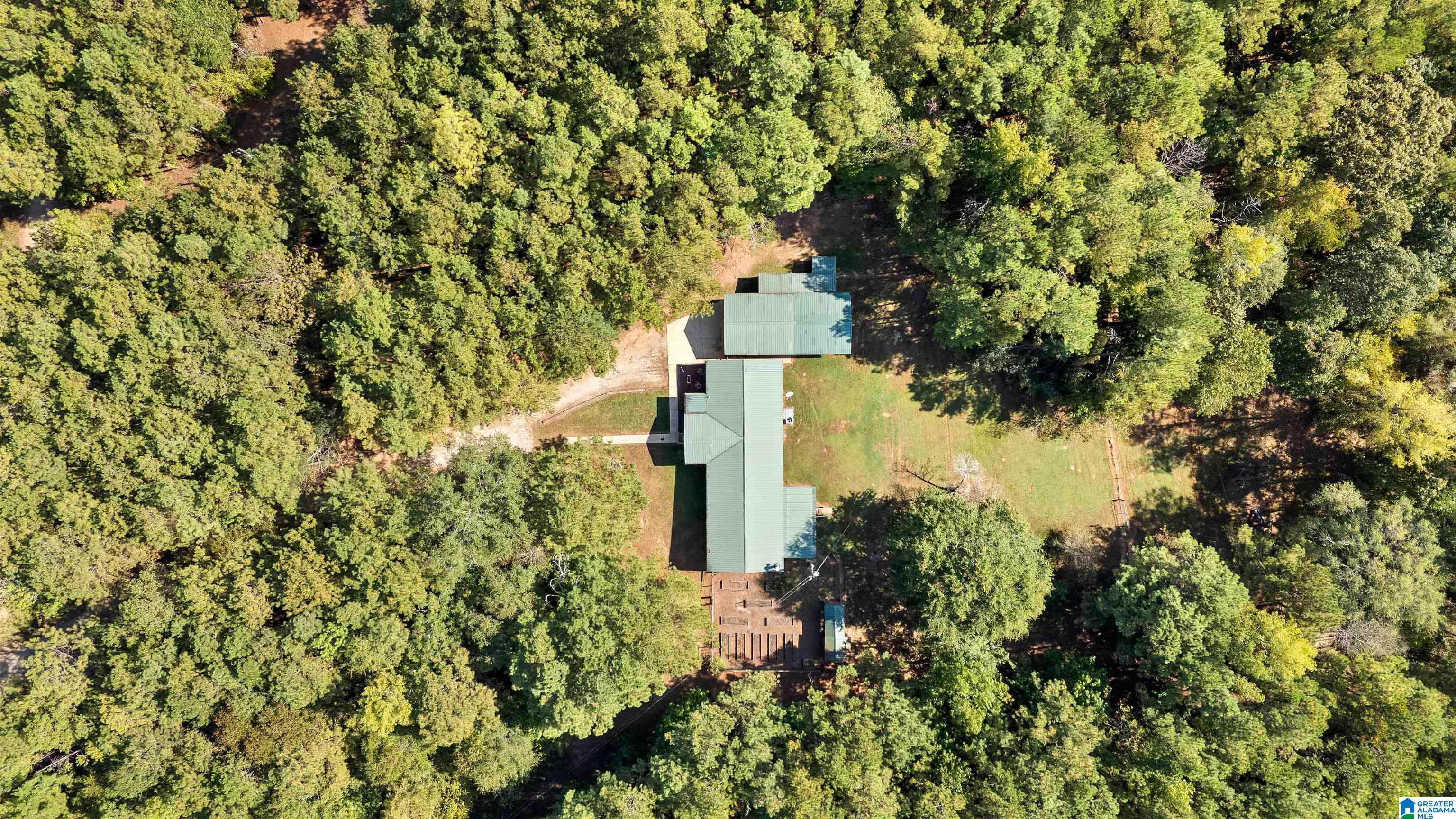78 County Road 862 Wadley, AL 36276 - Photo 5 of 78