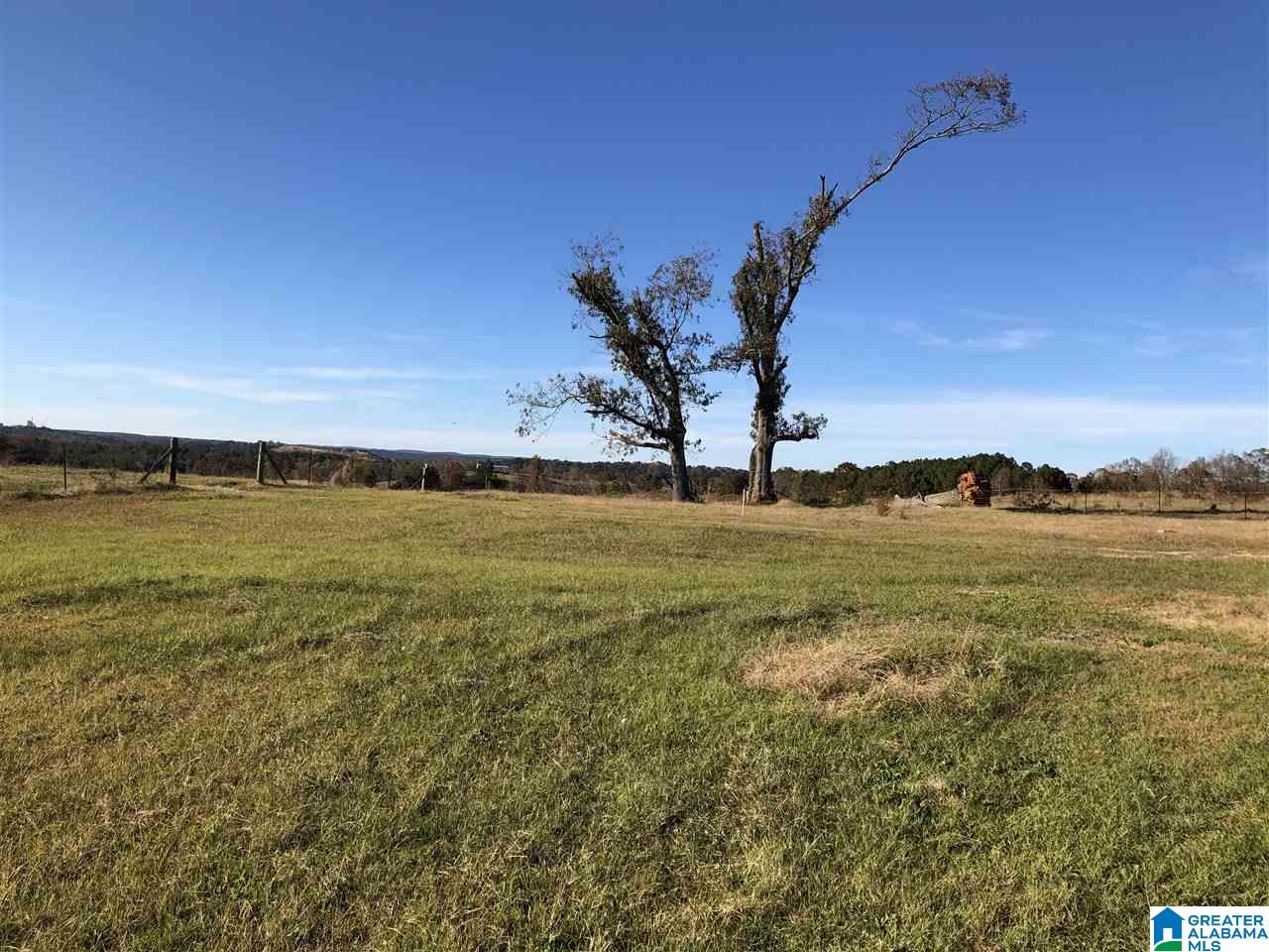 2609 Boiling Springs Road, Unit 5 Ohatchee, AL 36271 - Photo 7 of 16