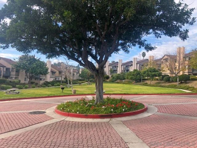 a view of a swimming pool with a yard